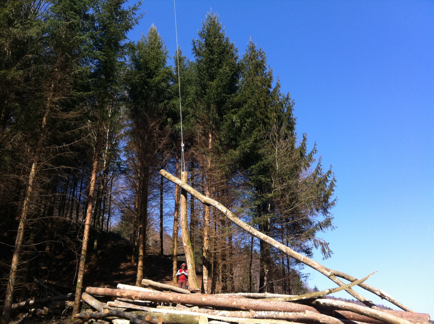 Entreprise forestiere Daniel Ruch cable grue 2