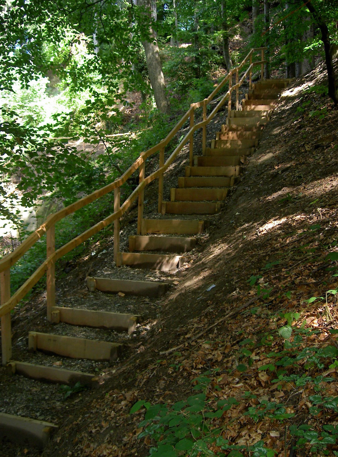 Entreprise forestiere Daniel Ruch genie chemin forestier 1