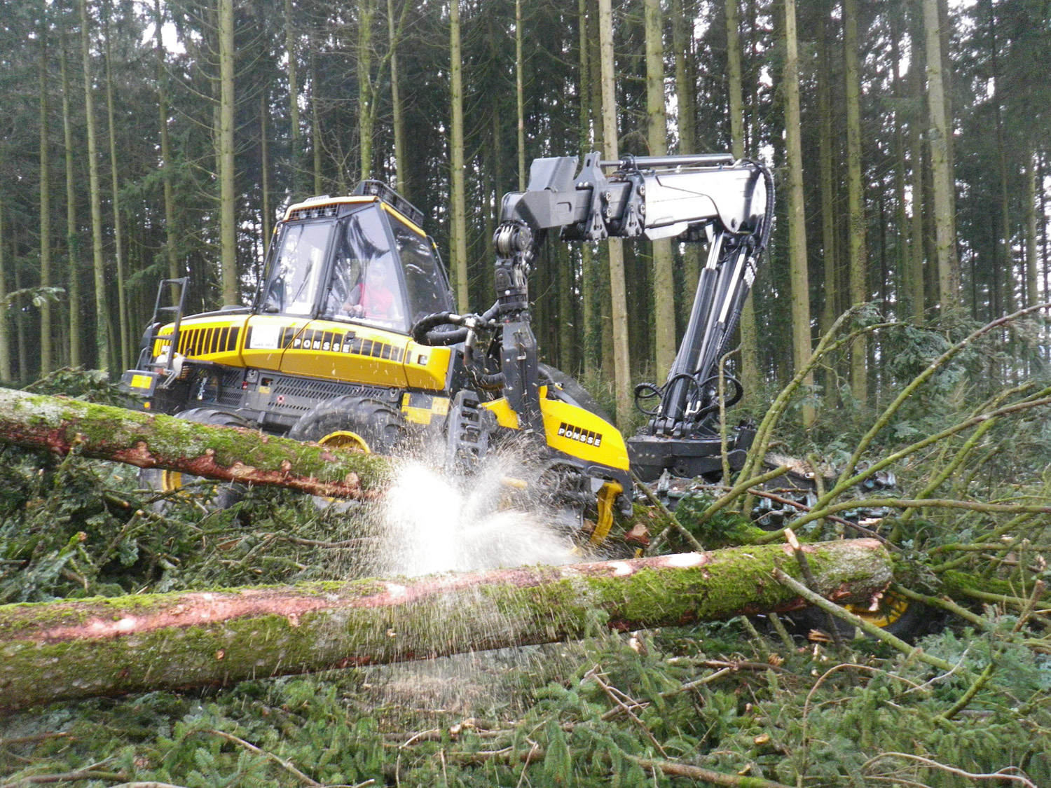 Entreprise forestiere Daniel Ruch recolteuse ponsse bear 2