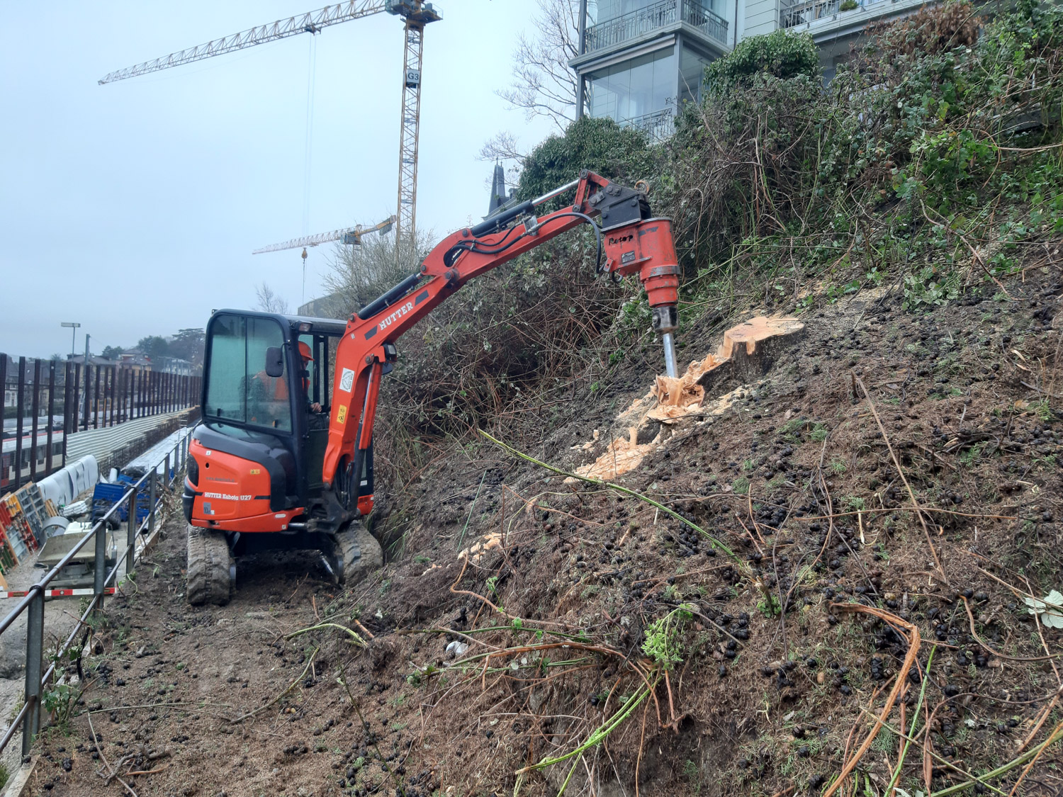 Entreprise forestiere Daniel Ruch services dessouchage