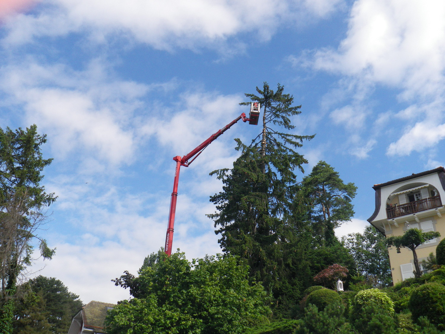 Entreprise forestiere Daniel Ruch urbain 02