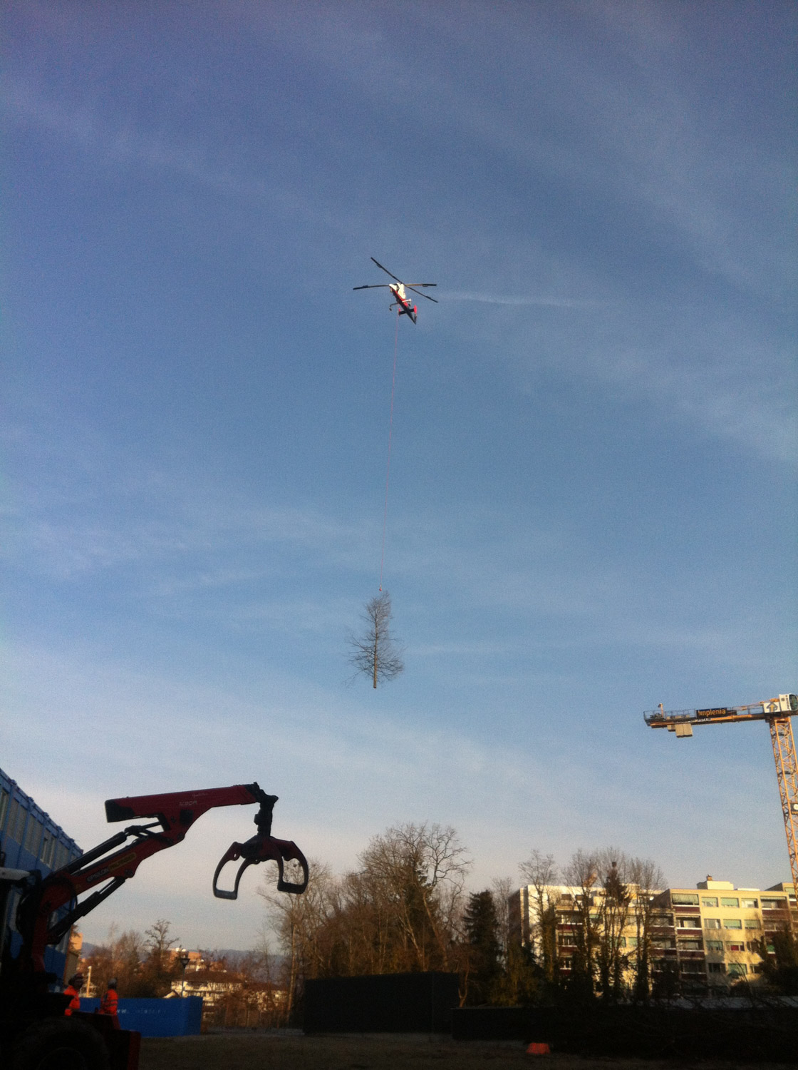 Entreprise forestiere Daniel Ruch urbain 03