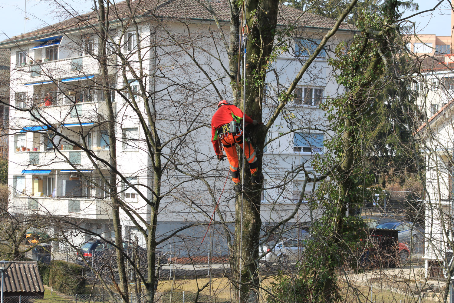 Entreprise forestiere Daniel Ruch urbain 06